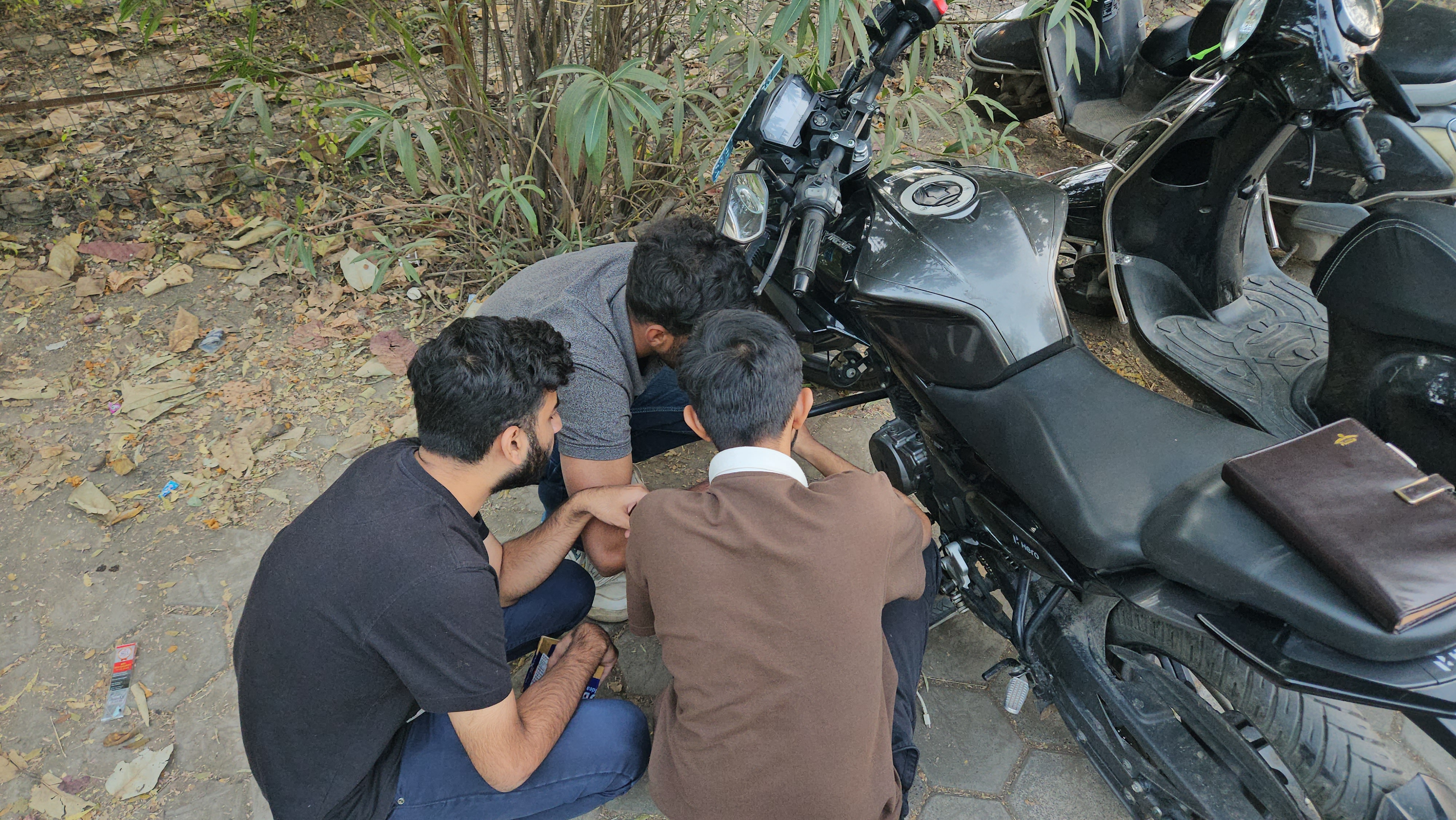 Gallery Image 2